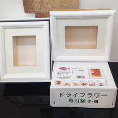掛け軸　6本　無料　整理品の画像