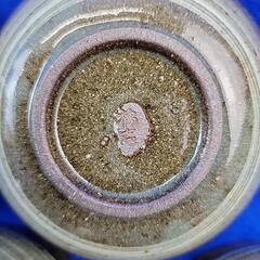 たち吉　橘吉　白刷毛目　天ぷら揃　大皿　小皿　陶器　の画像