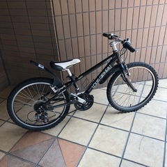 ルイガノ　LGS J22 ジュニア自転車 22インチ　