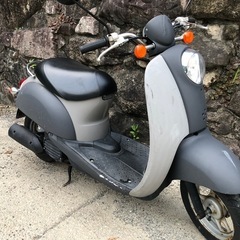 ホンダ AF55 クレアスクーピー　水冷　4サイクル