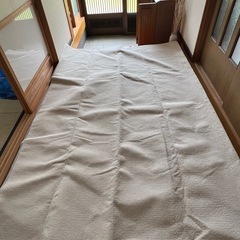 カインズカーペット６畳用（美品）