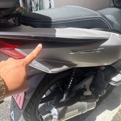 pcx125ccの画像