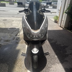pcx125ccの画像