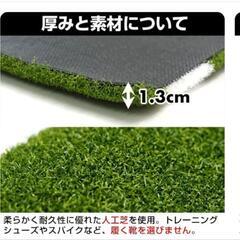 バッターボックス人工芝の画像