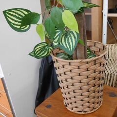 フェイクグリーン 高さ140cm 鉢 ベンジャミン インテリア 人工観葉植物 造花 札幌 西野店の画像