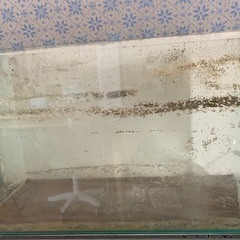60センチ水槽