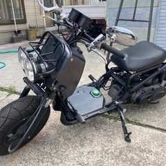 ズーマー実働　少しだけカスタムしてますの画像