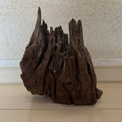 流木の画像