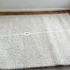 カーペットの画像