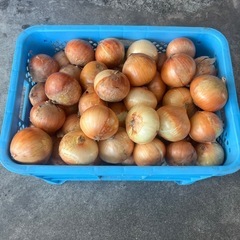 【週末限定】最安価格　大玉　佐賀産　玉ねぎ　約10キロ在庫有！！