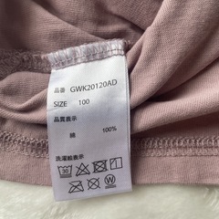 子供服　半袖Tシャツ　サイズ100 夏　予備服　保育園　幼稚園　公園の画像