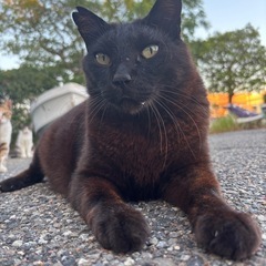 お友達になってください☺️