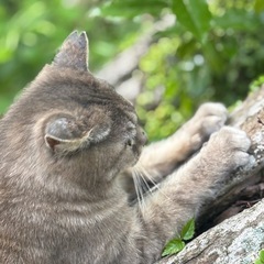お友達になってください☺️ − 長崎県