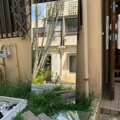 鏡の画像