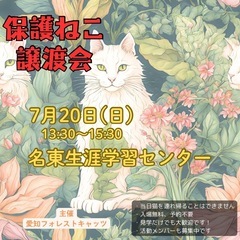 7/20保護猫譲渡会　子猫参加予定