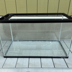 水槽　寿工芸　ガラス　KOTOBUKI 
クリスタル水槽　中古