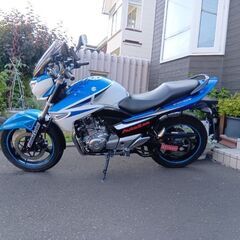 スズキ　GSR250   カラー　白青【代理出品】の画像