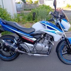 スズキ　GSR250   カラー　白青【代理出品】の画像