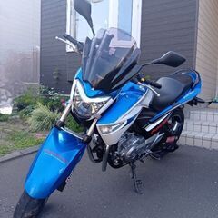 スズキ　GSR250   カラー　白青【代理出品】