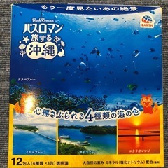 バスロマン　旅する　沖縄