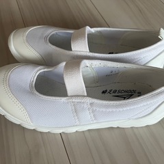 子供上履き瞬足21cmの画像