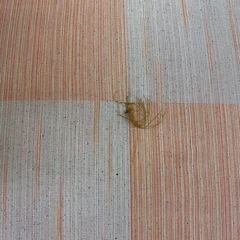 和風座布団5枚セットの画像