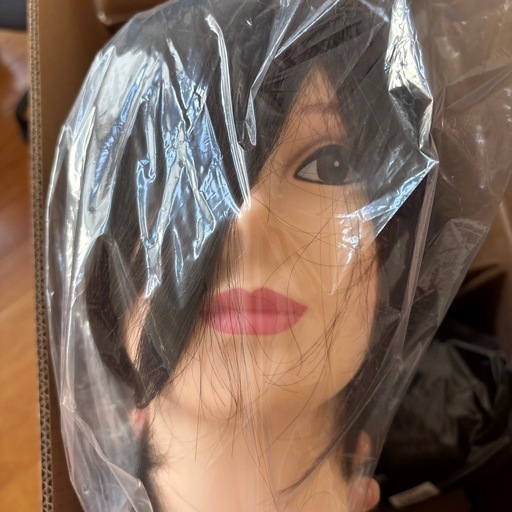 国家試験ウィッグ　16個