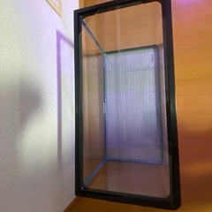 GEX 60㎝曲げガラス水槽の画像