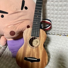 ウクレレ友になってください(*¨̮*)