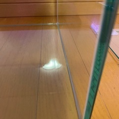 アクアリスタ45㎝ガラス水槽の画像