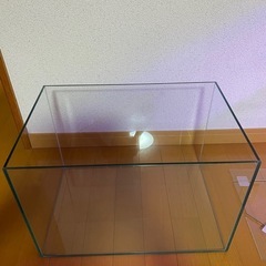 アクアリスタ45㎝ガラス水槽