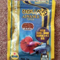 ひかりベタＡDVAＮＣＥの画像