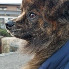 この子をよろしくお願いします🙇‍♀️⤵️