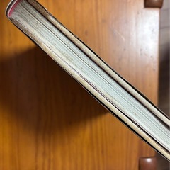オーパ! OPA! 開高健/著 　集英社の画像