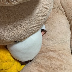 (お引き取り先決定❗️)大きなくまさん🧸の画像