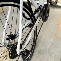 【値下げ中】Bianchi C-sports 2 白 【サイズ43】 ボトルケージ付き、スタンド付きの画像