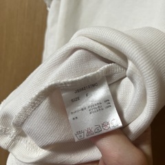 袖フリルトップスの画像