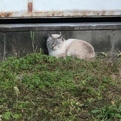 悩みごと相談何でも窓口