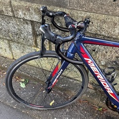 MERIDA4000の画像
