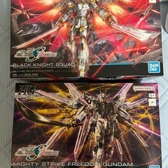 ガンプラ HG マイティストライクフリーダムガンダムとブラックナ...