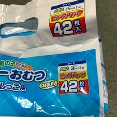 犬のオムツ　
78枚の画像