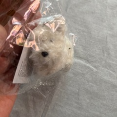 アロマティカ　マスコット犬キーホルダーの画像