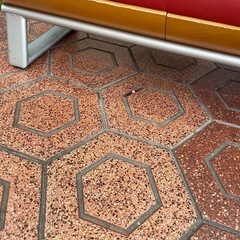 ベンチ　布製の画像