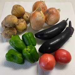 【夏野菜セット】