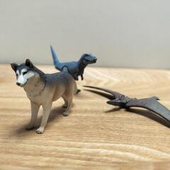アニア　オオカミ　恐竜　3点の画像