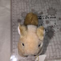 リス ぬいぐるみの画像