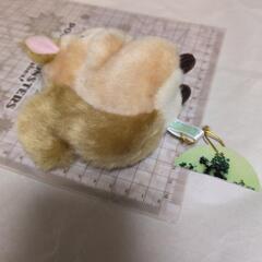 リス ぬいぐるみの画像