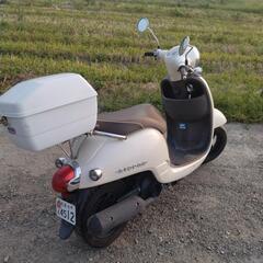 ジョルノ　AF70の画像