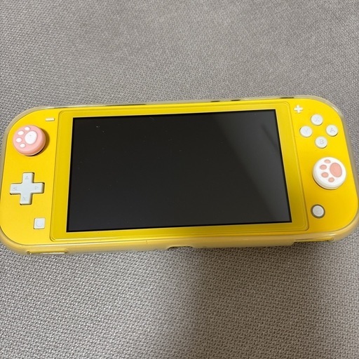 【決まりました】任天堂 Switchライト