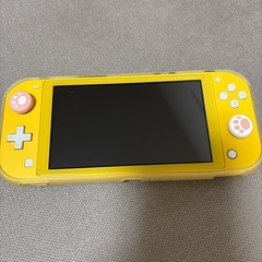 任天堂 Switchライト